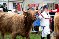 G D Harries Arena - Wed Grand Cattle Parade